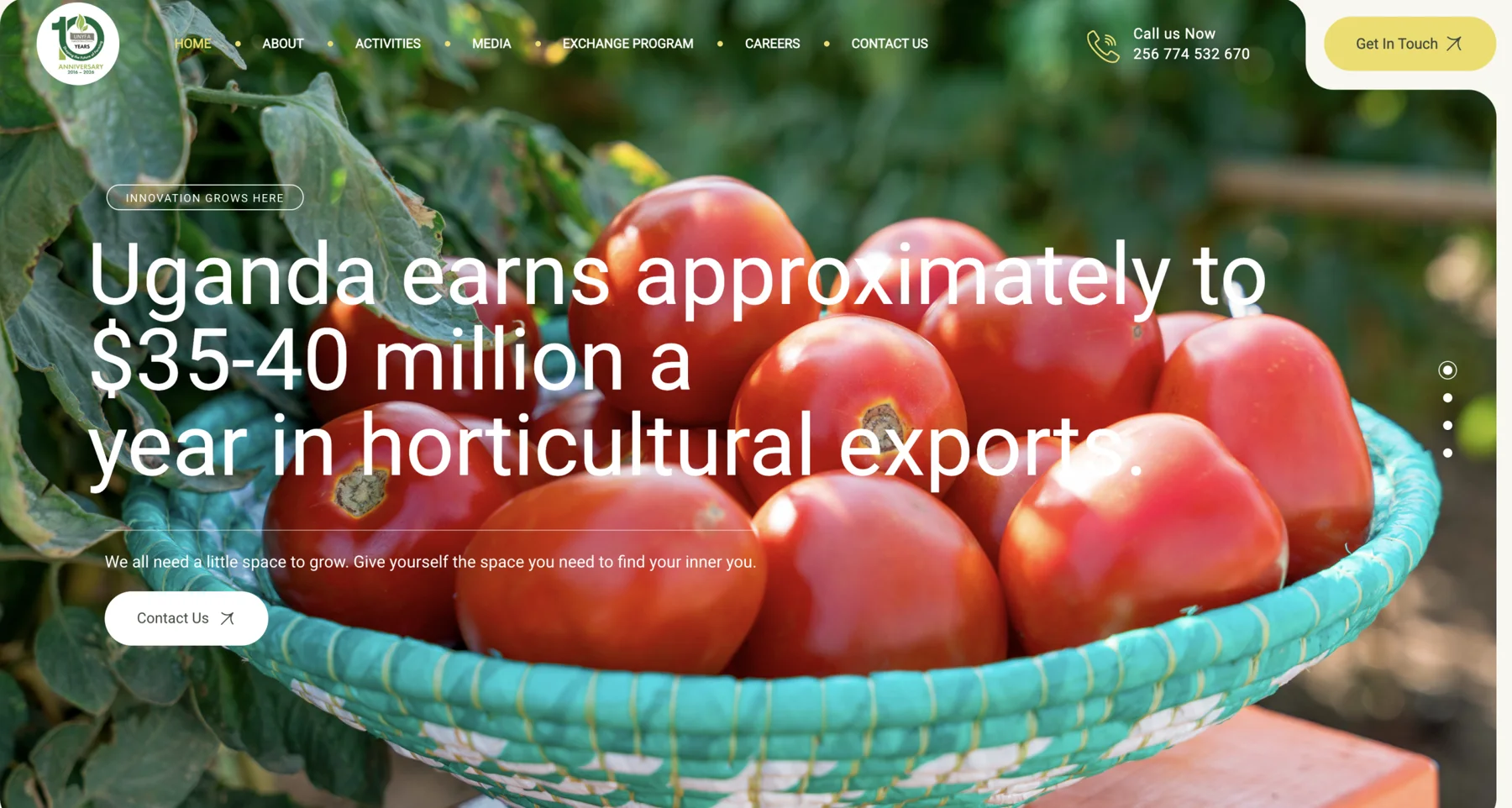 Young Farmers Federation of Uganda website by Web Systems Uganda